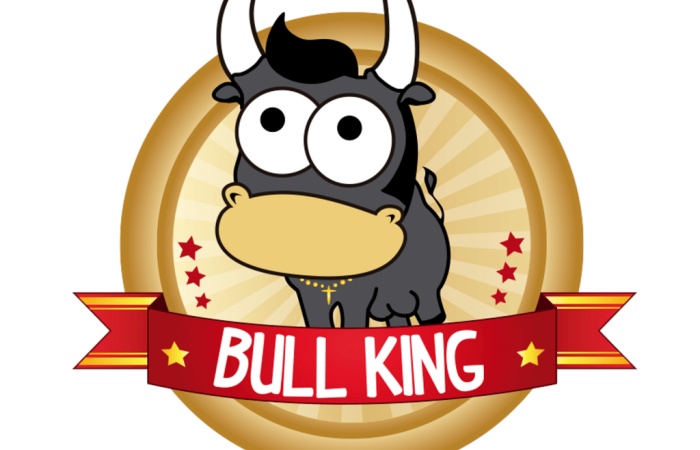 bullking-logotipo-1024x1024